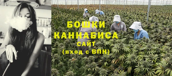 прущий лед Белокуриха