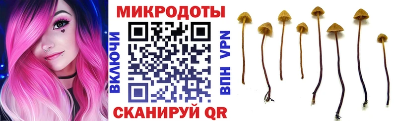 Галлюциногенные грибы Psilocybe  Волосово 