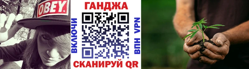 Бошки Шишки планчик  где найти   Волосово 